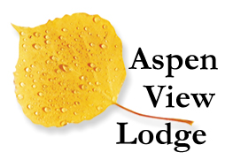 AspenViewLodgeLogo